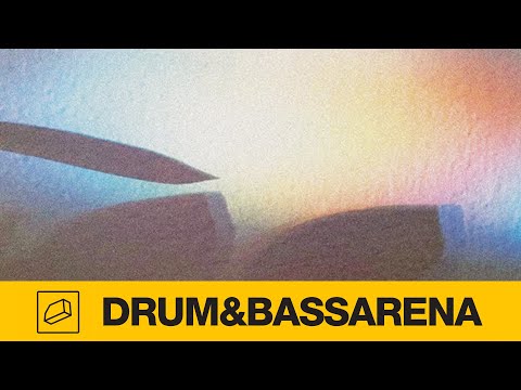 , Anile &amp; Mindstate &#8211; Echo Shift, MadDNB