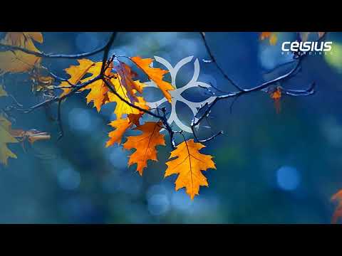 , Fluid Form &amp; Enea &#8211; Dangerous, MadDNB