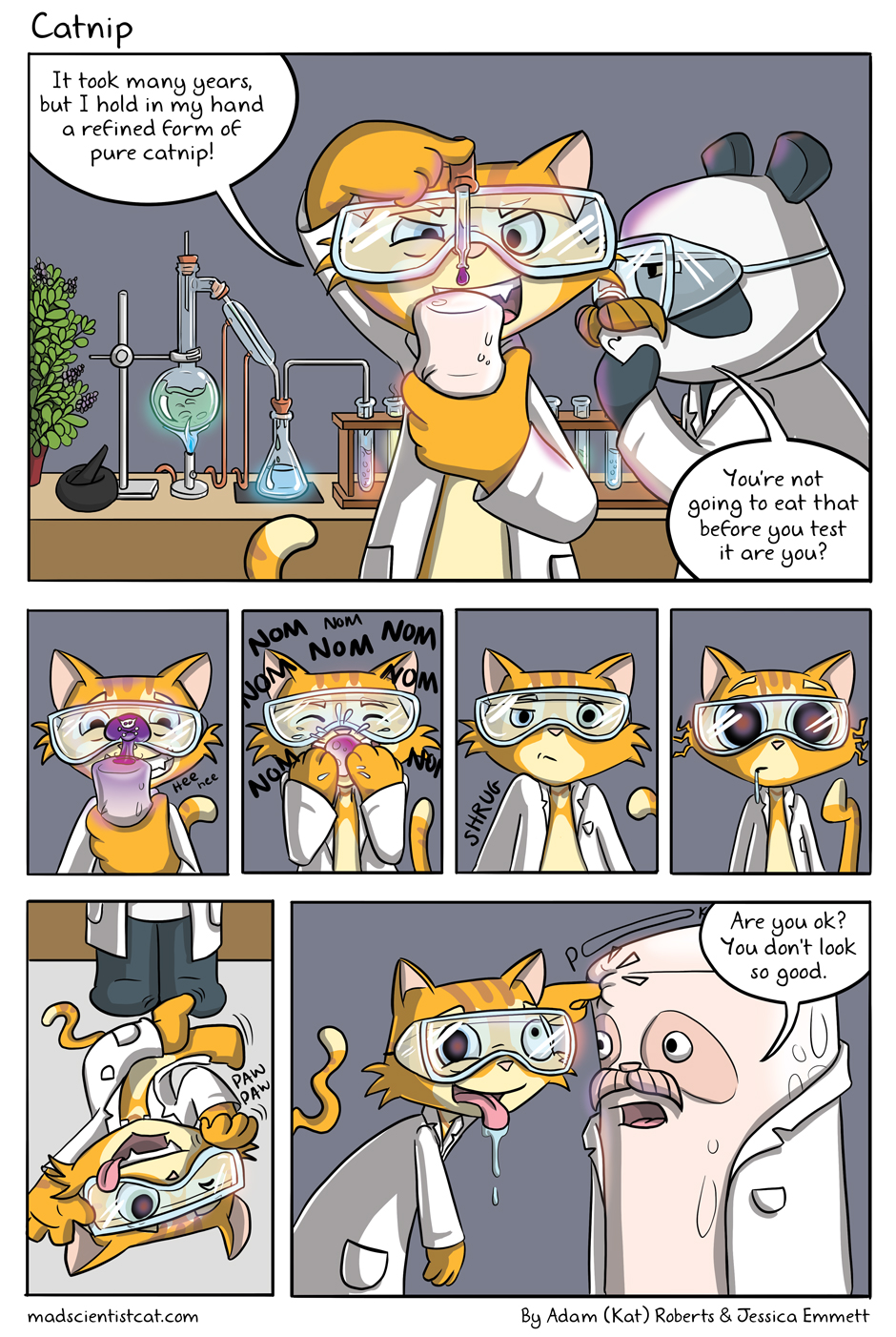 Catnip