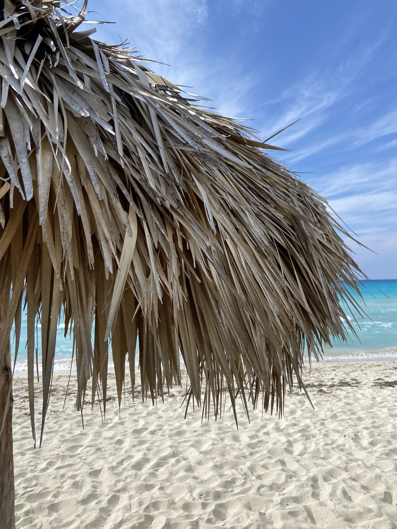 Go-to tools for a practical & budget friendly trip
