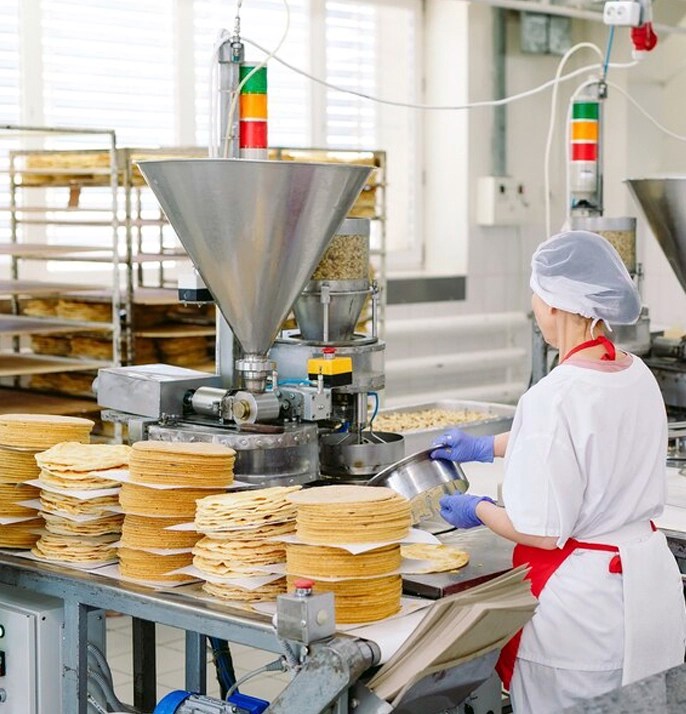 Food processing and nutrition