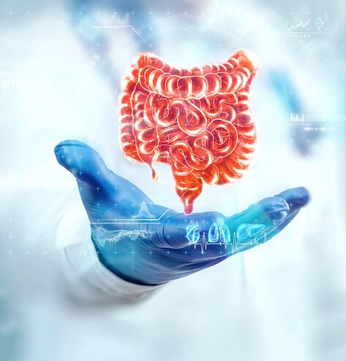 Gut microbiome