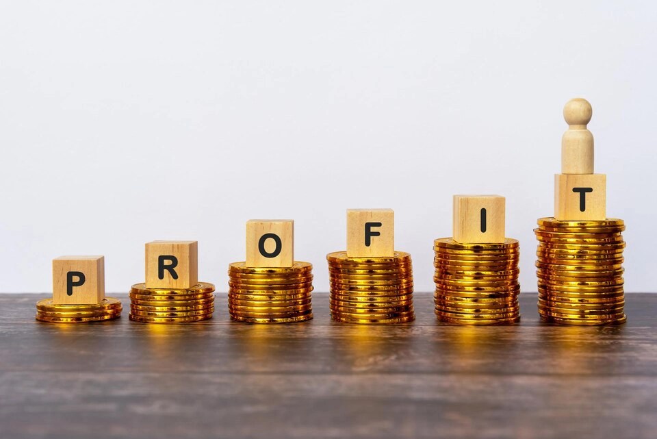 Purpose and Profits Purpose and Profits