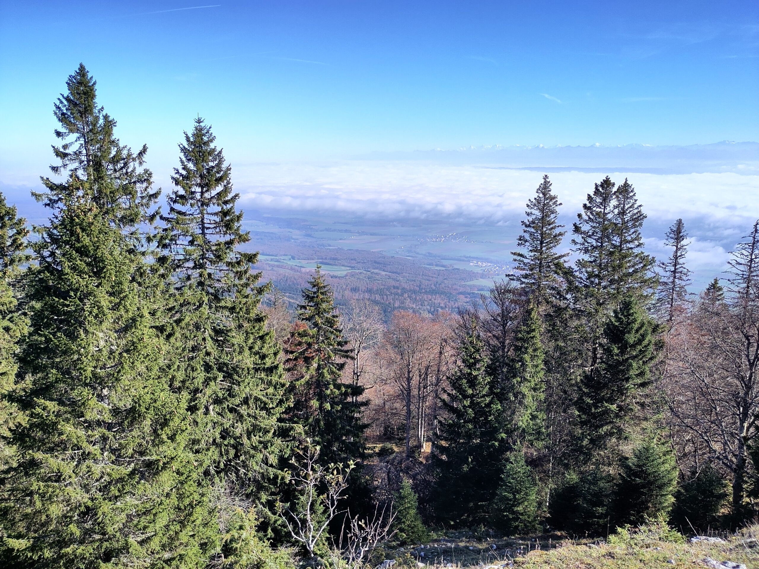 Photo looking towards Neuchatel taken with the Fairphone 4