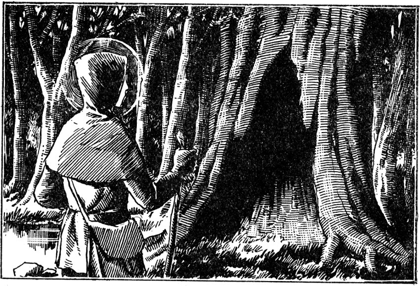 Saint Simon Stock dans un chêne creux