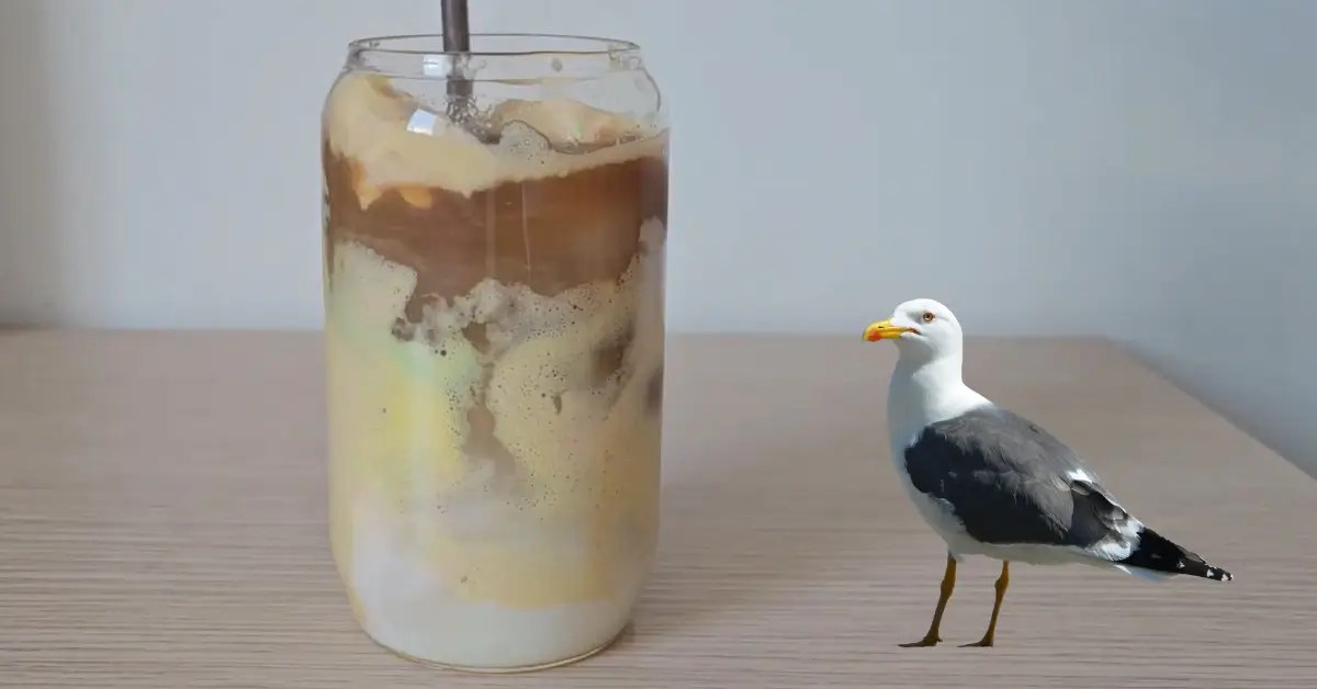 Fluffy seagull latte recipe
