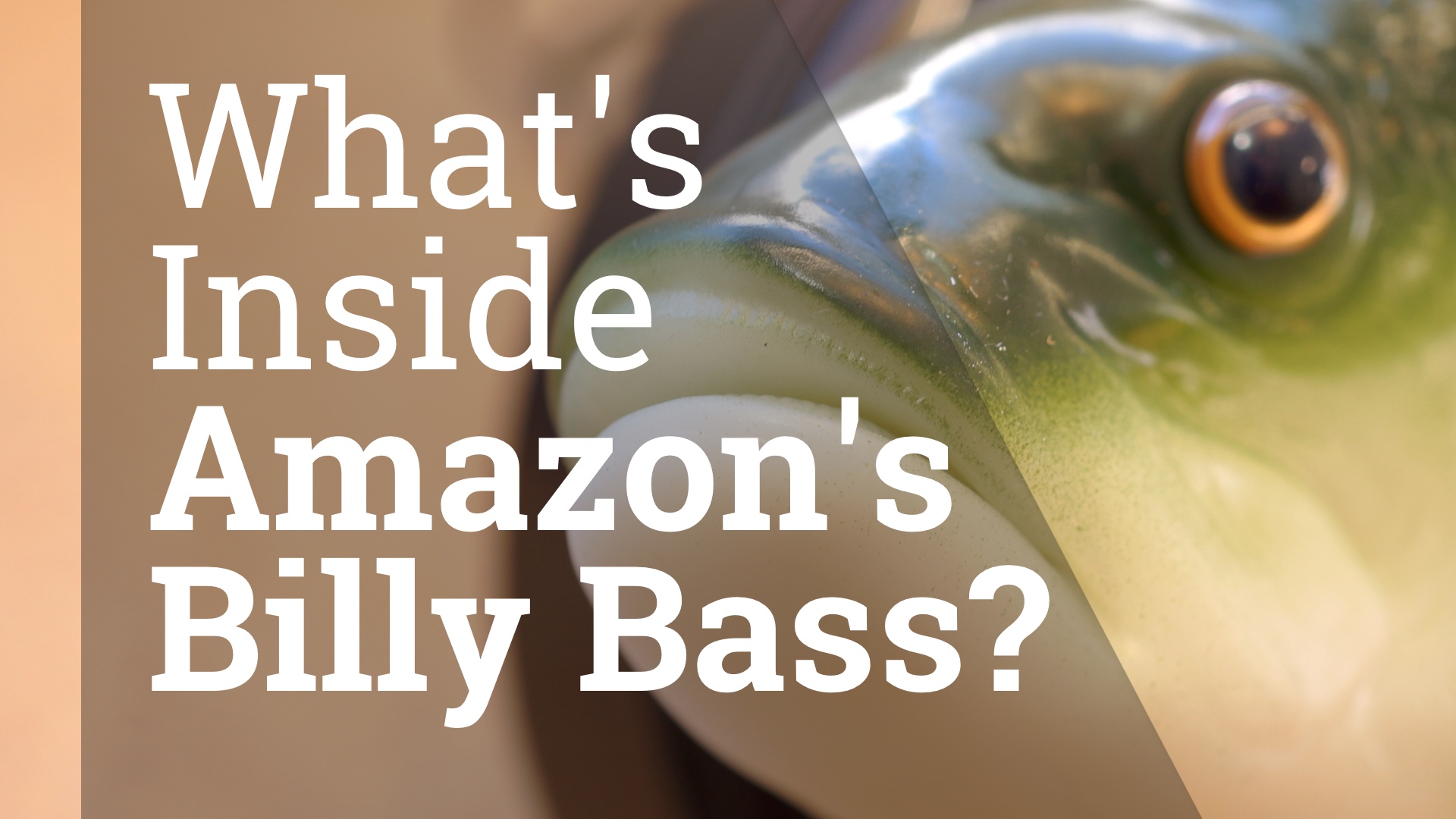 Opening Up the Alexa Billy Bass •Maker Project Lab
