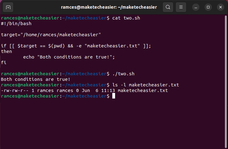 A terminal showing the AND operator between a subshell test and a file detection test.