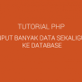 Aplikasi Penjualan Dengan PHP Dan MySQL Gratis - Malas Ngoding