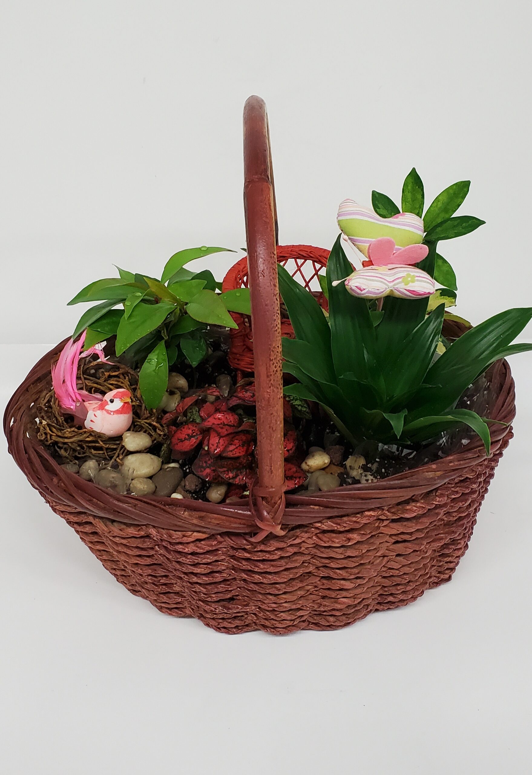 ANNA SUI mini♡flower garden♡150 ANNA SUI mini♡flower garden♡150 ANNA SUI mini♡flower