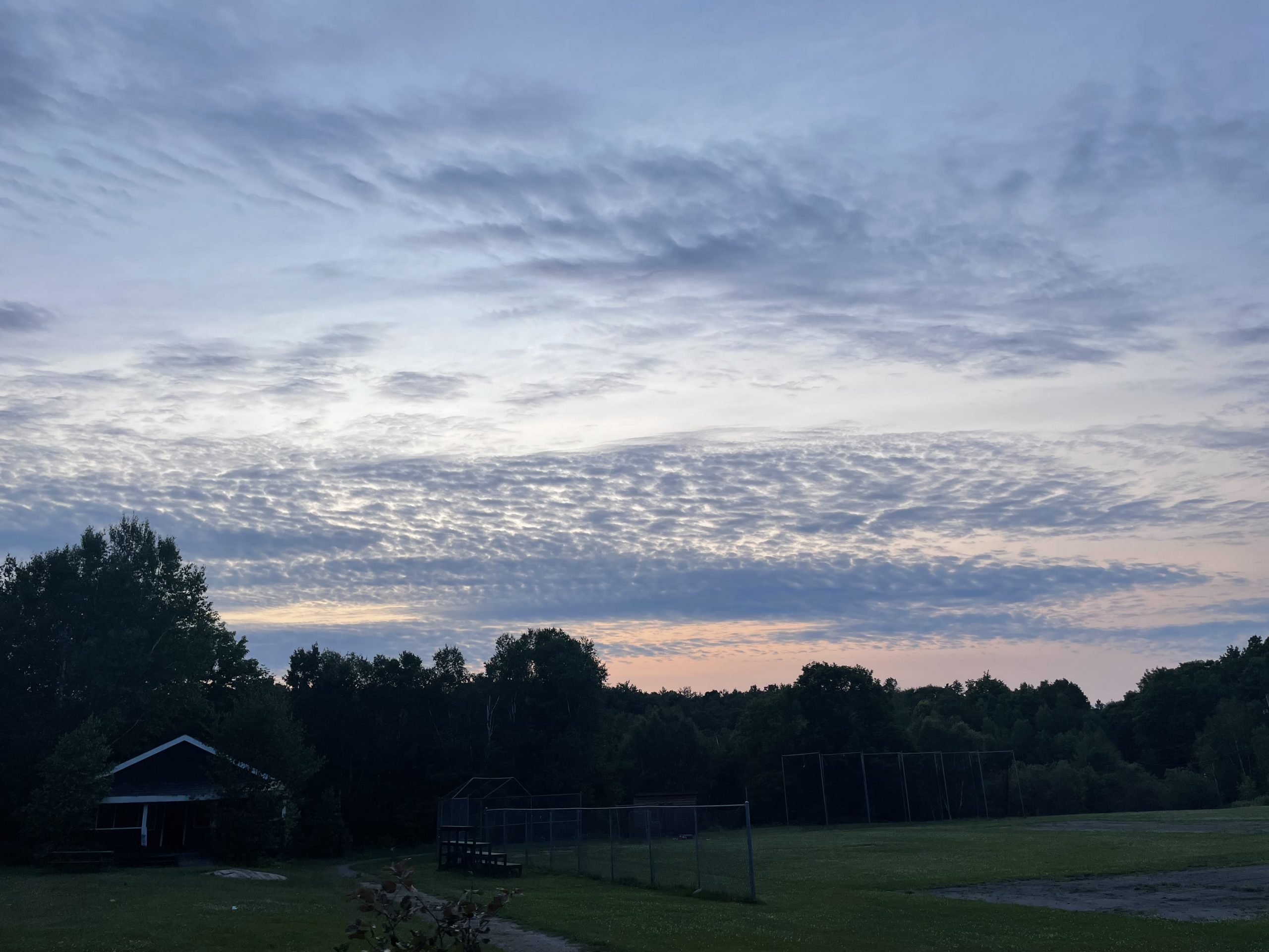 The first activity day!