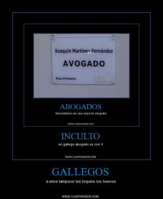 Avogado
