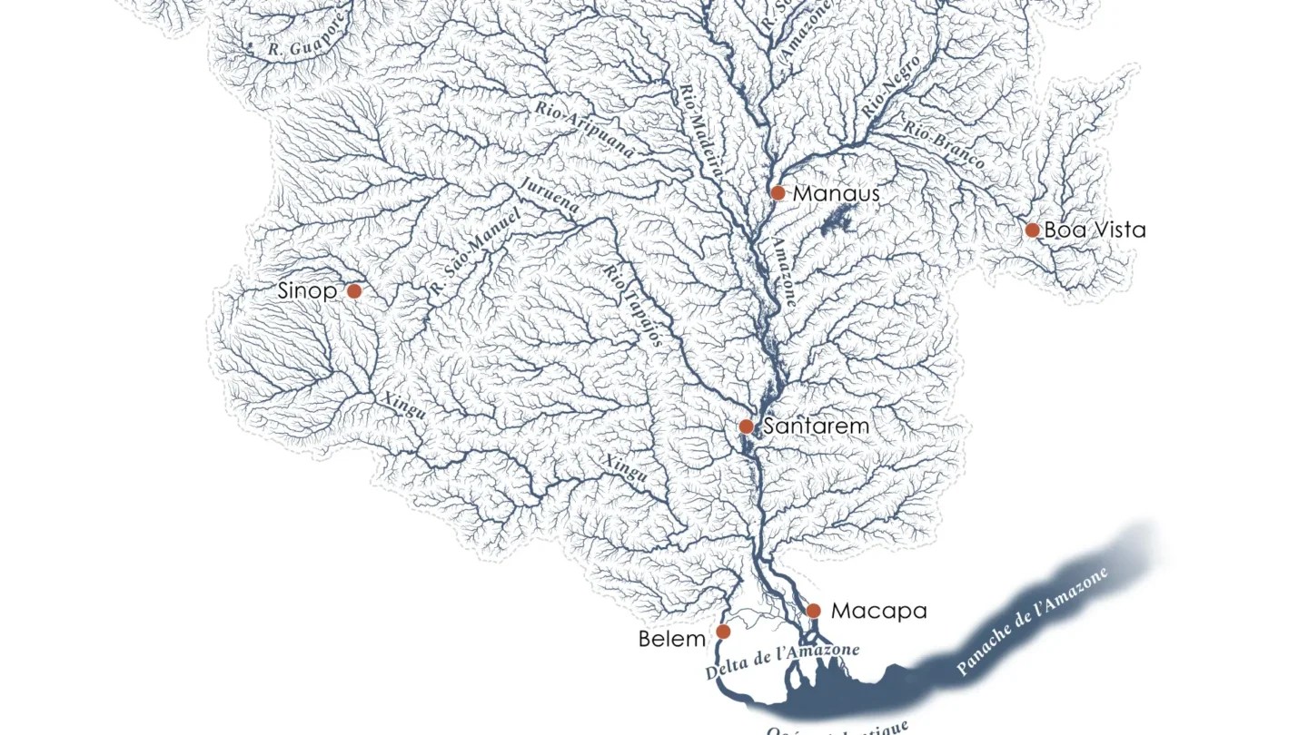 River Tree Maps Reimagine World S Largest Watersheds As Trees Article Featured.