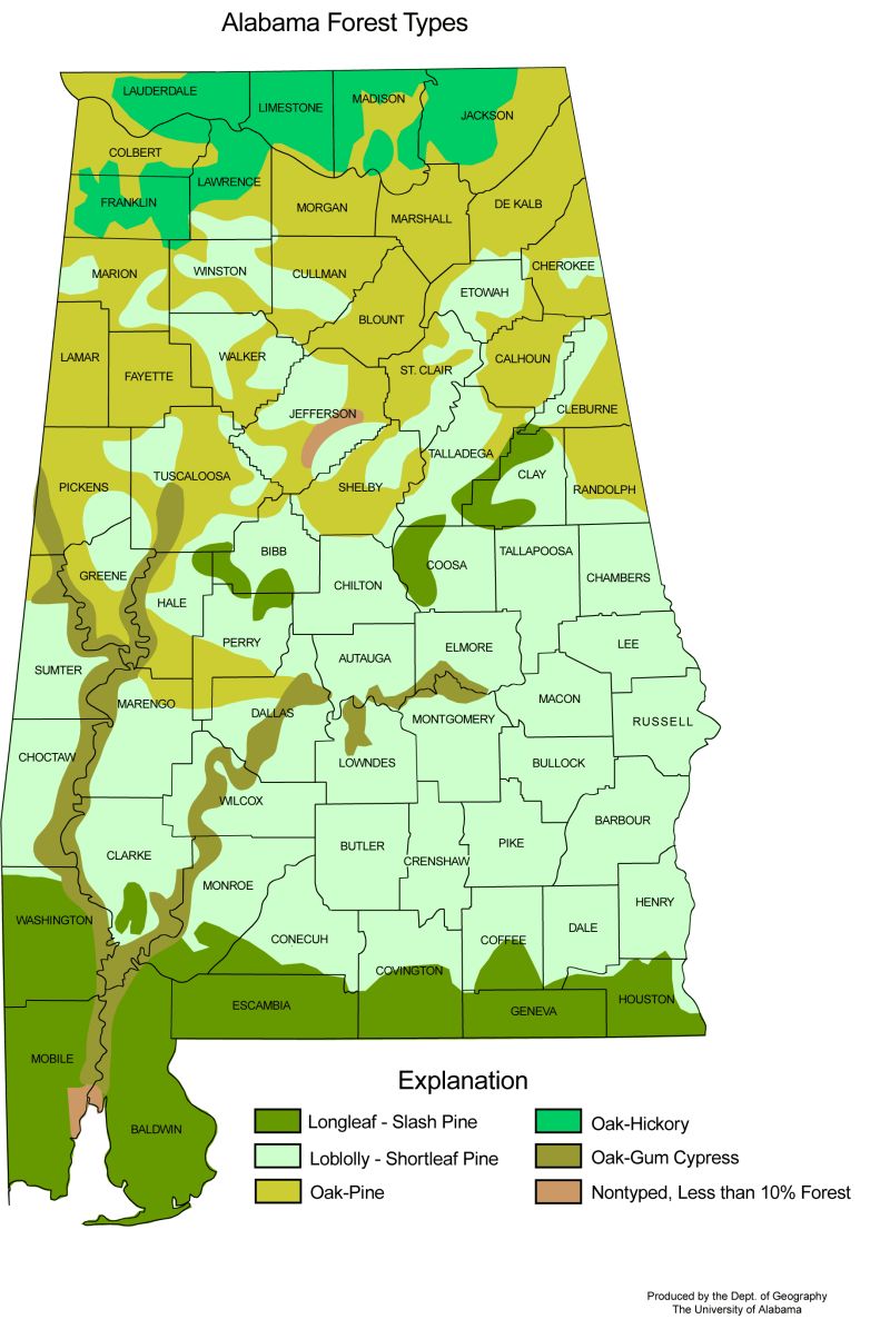 Alabama Geographic Facts Maps Mapsof Net - 8K Mountain Pictures for Desktop