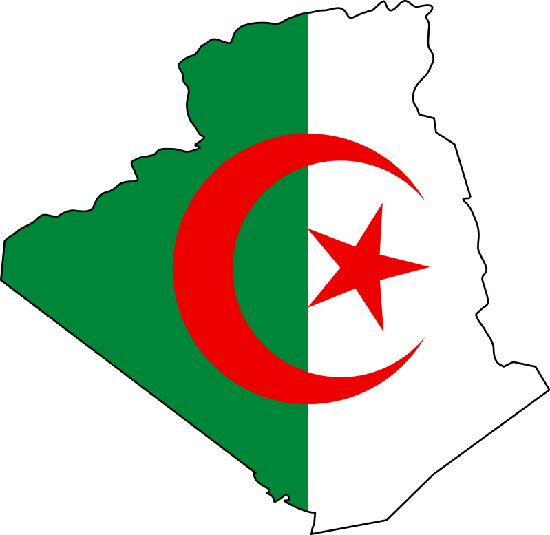 Algeria Topography Mapsof Net - Gradient Illustration Collection - 8K Quality