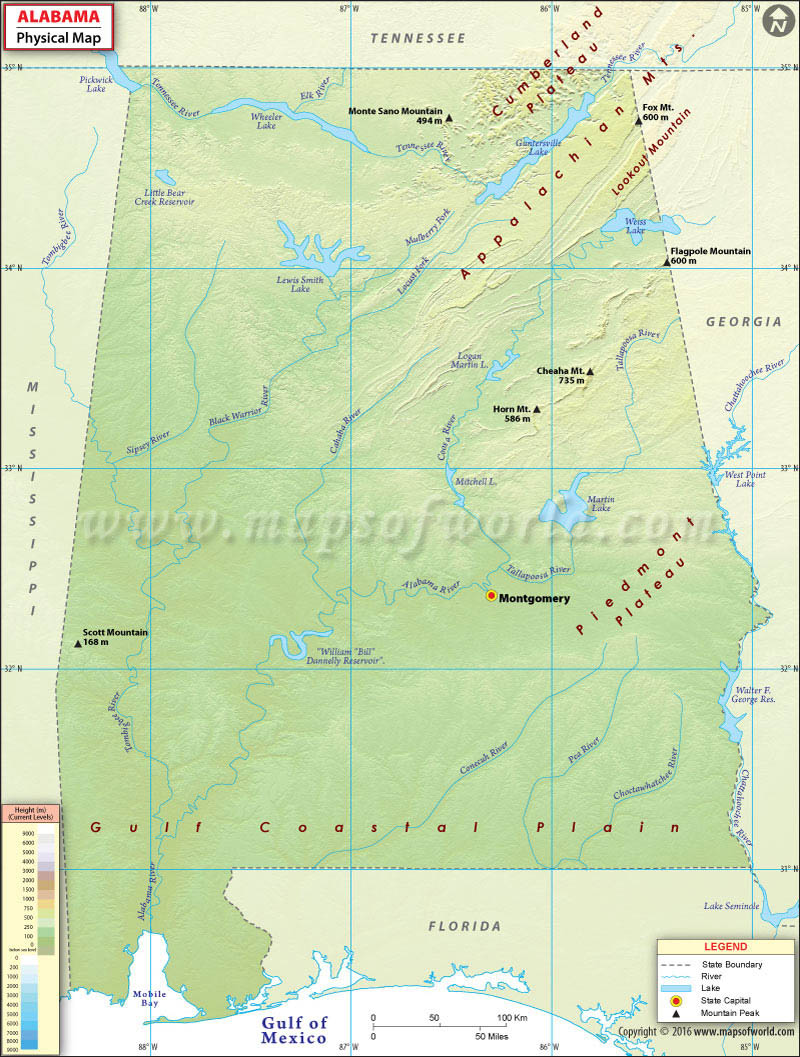 Physical Map Of Alabama Alabama Physical Features Alabama Physical Map 