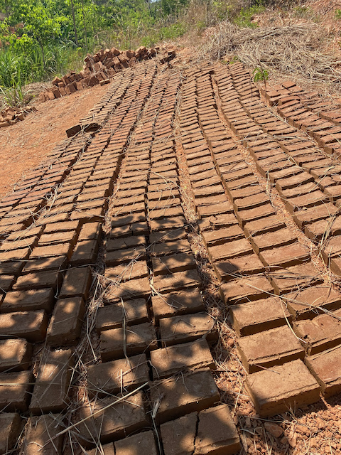 Bricks drying in the sun