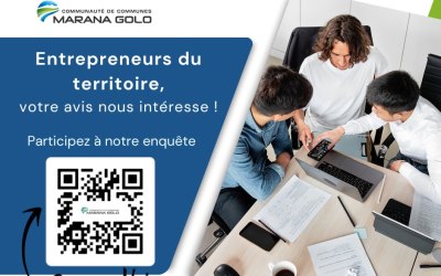 Questionnaire pour les professionnels