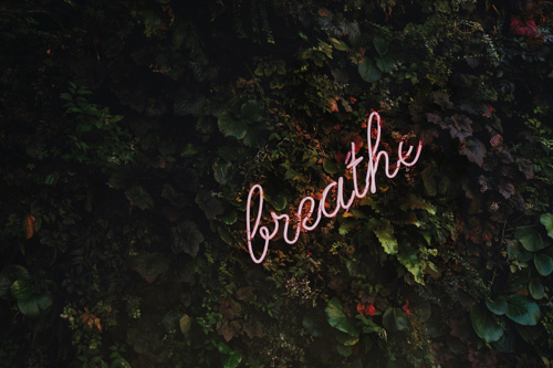 31 Five-Second Reminders that Will Make Calmness Your Superpower