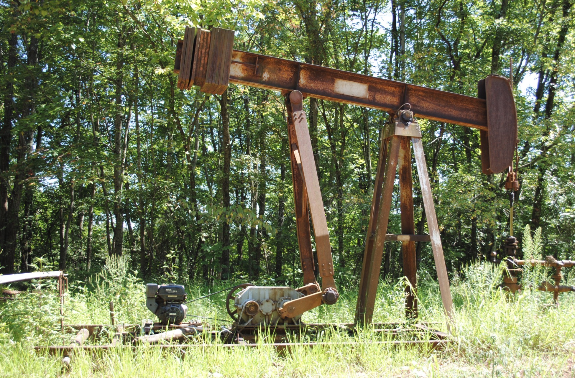 Nearly 3,000 Acres of Ohio’s Wayne National Forest leased for fracking
