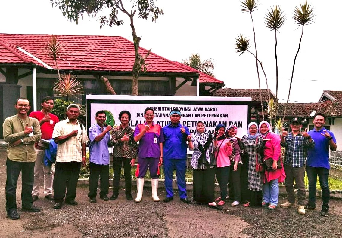 Friesian holstein (fh) · 2. Peningkatan Kompetensi Pengenalan dan Teknik Seleksi