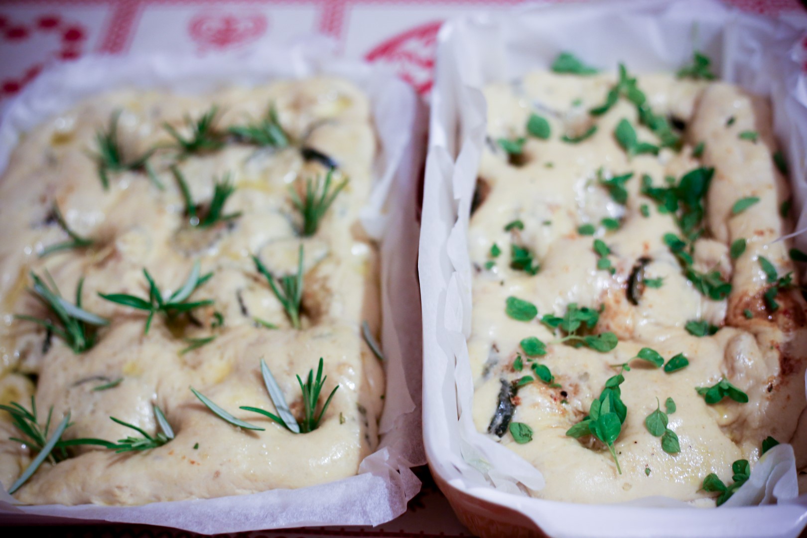 fougesse-courgettes-fromage-chevre-romarin (19 sur 28) (Large)