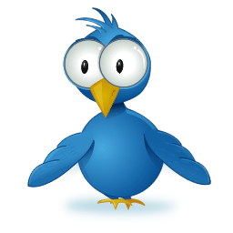 twitter widget
