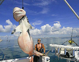 Miami Charter Fishing Fort Lauderdale Charter Fishing Miami