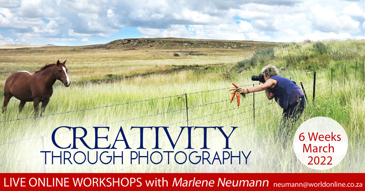 Creativity Through Photography with Master Fine Art Photographer Marlene Neumann