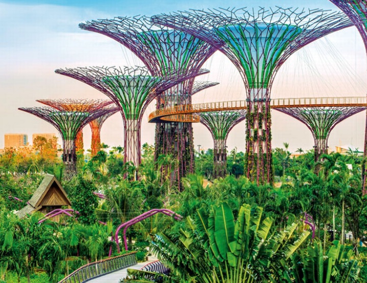 Paysage Jardin Japonais A Singapour Japanese Garden Landscape Japanese Garden Singapore Garden