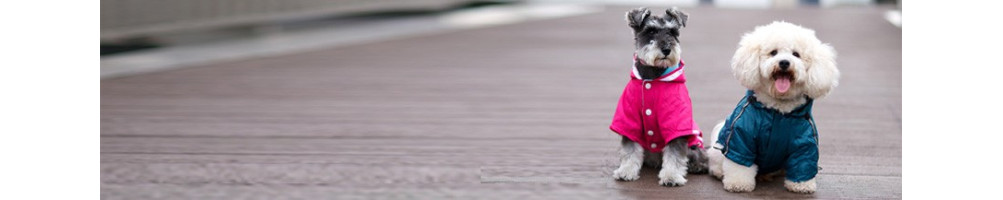 Buy Dog Winter Jackets And Sweaters Online India At Lowest Prices