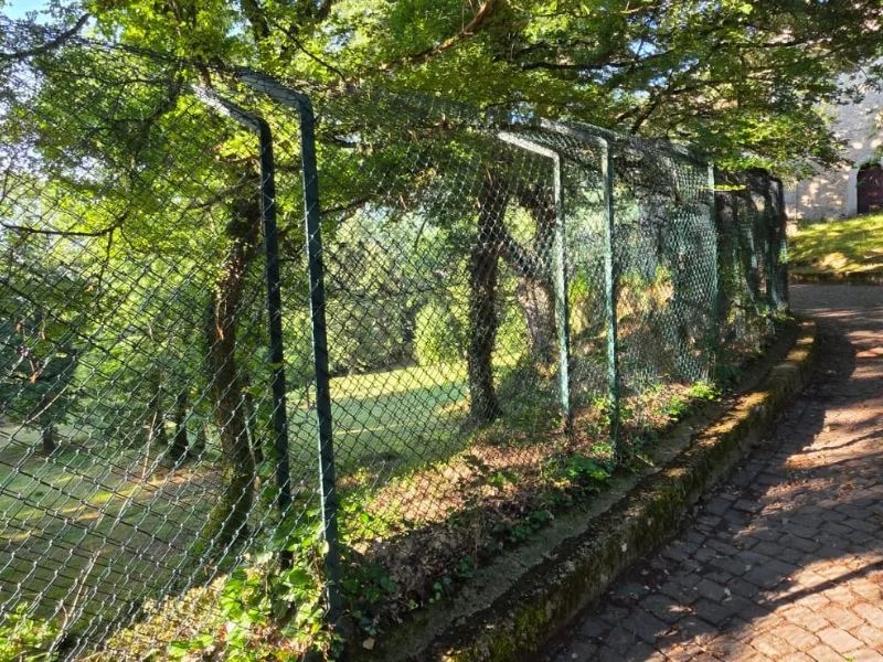 CHIARIMENTI DEL PARCO SUI CUCCIOLI DELL’AREA FAUNISTICA DEL LUPO DI CIVITELLA ALFEDENA: UNA VICENDA DOLOROSA