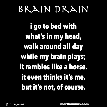 Brain Drain
i go to bed with
what’s in my head,
walk around all day
while my brain plays;
it rambles like a horse.
it even thinks it’s me,
but it’s not, of course.
