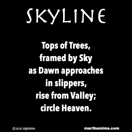 skyline
Tops of Trees,
framed by Sky
as Dawn approaches
in slippers,
rise from Valley;
circle Heaven.

