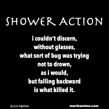 Shower Action
i couldn’t discern,
without glasses,
what sort of bug was trying
not to drown,
as i would,
but falling backward
is what killed it.