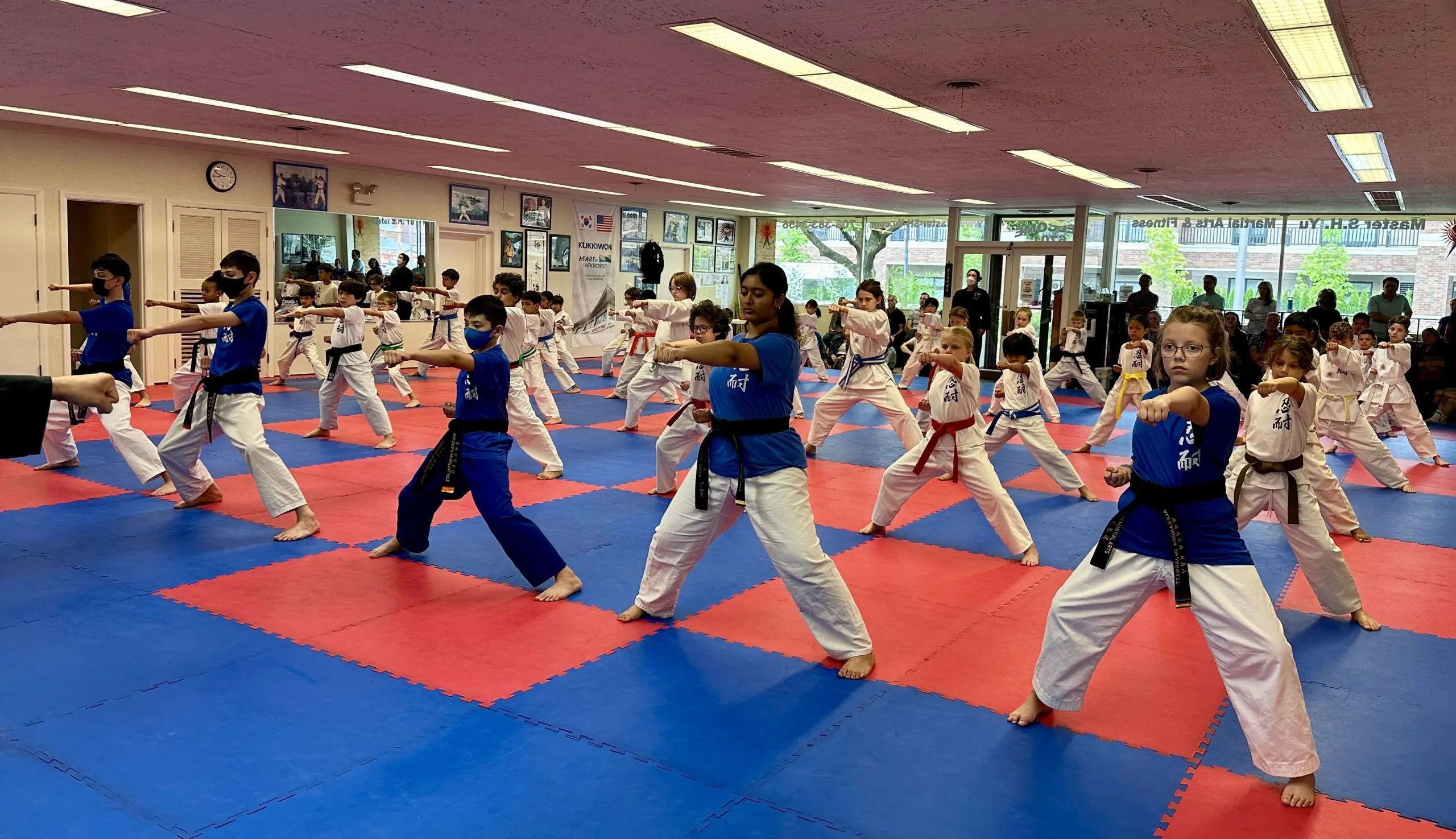 Martial arts training: what is real discipline?