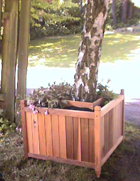 Cardboard Holiday Tree Box The Shabby Tree