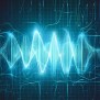 From Signals To Spectra: Exploring The Discrete Fourier Transform