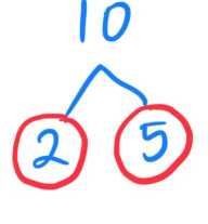 factor tree for 10