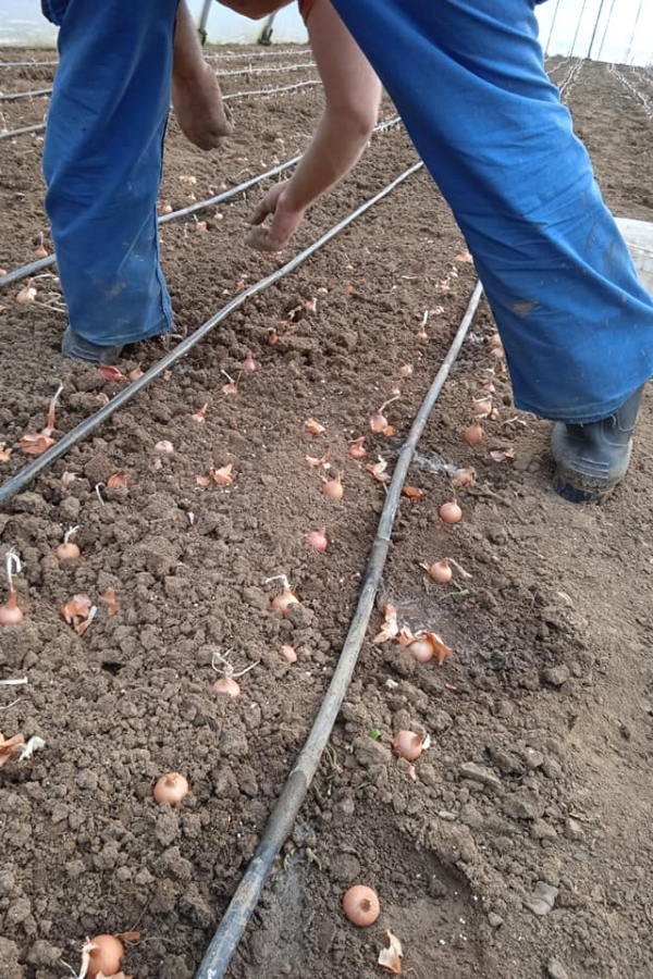 Φύτing by Λιλίκα