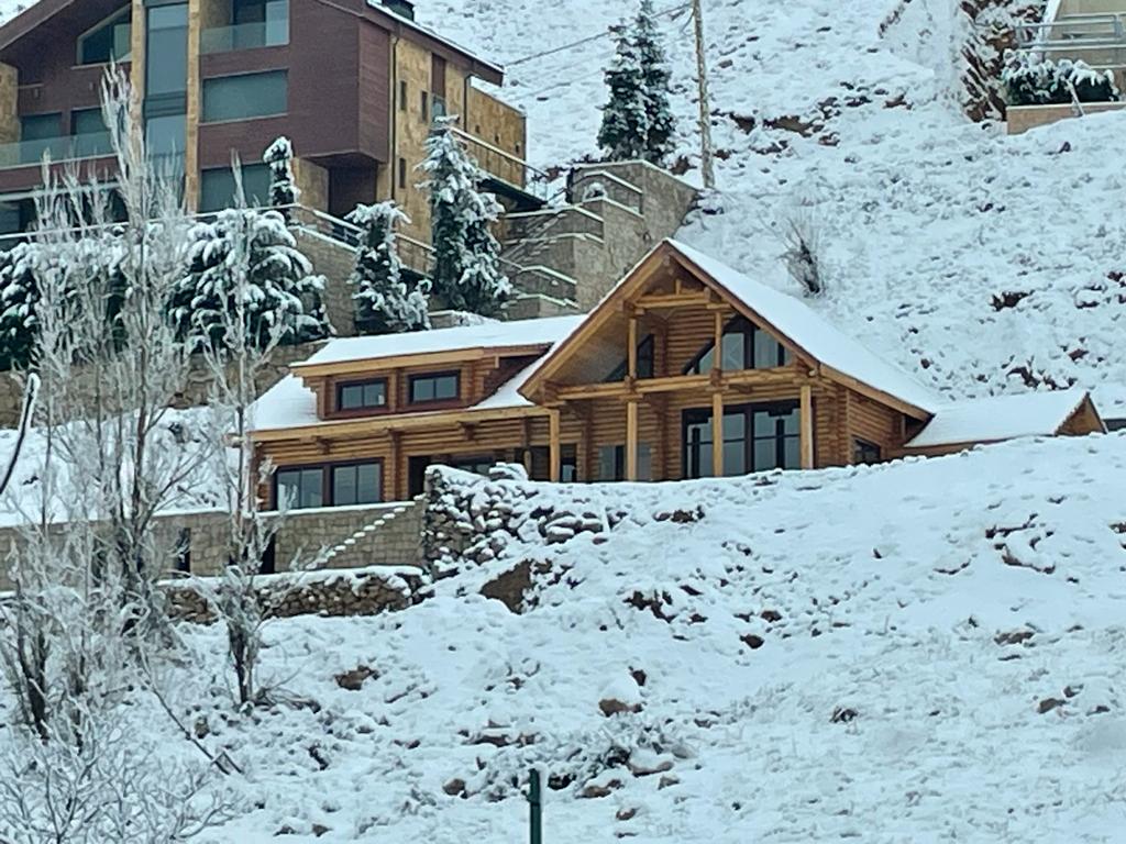 WhatsApp Image 2023-01-20 at 9.25.45 AM