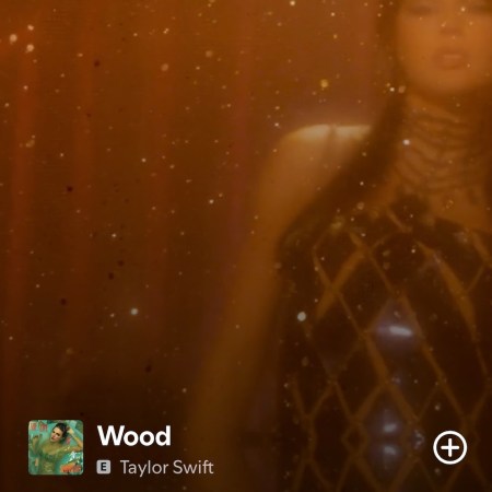 Visuals from "Wood" in "The Life of a Showgirl" by Taylor Swift
