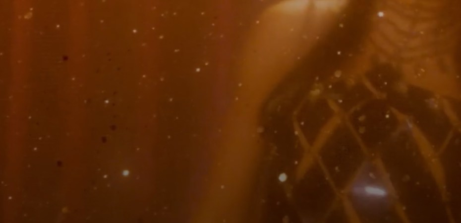 Visuals from "Wood" in "The Life of a Showgirl" by Taylor Swift
