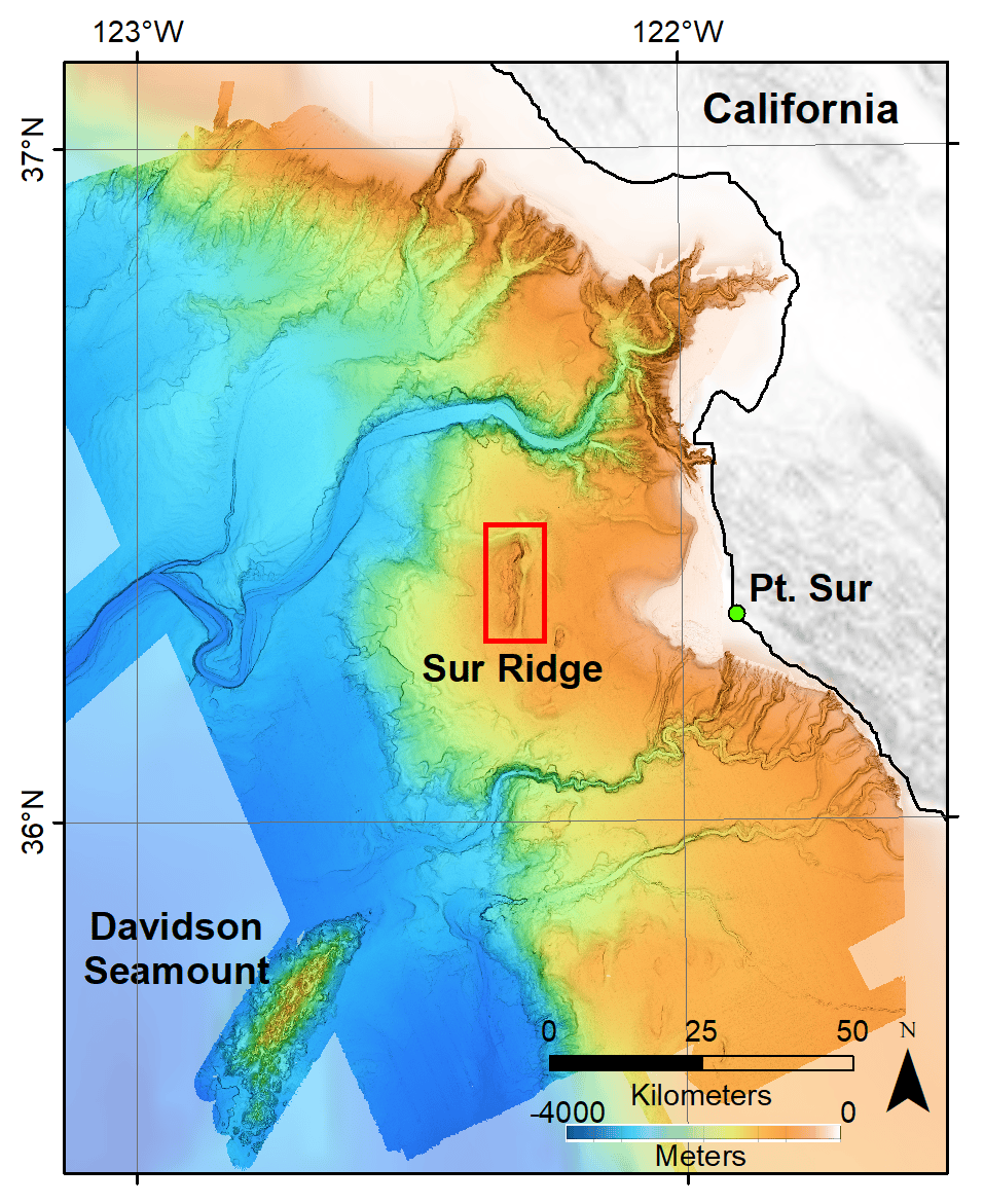 Seeing Sur Ridge New Animation Transforms Deep Sea Mapping Data To SurRidge Location 