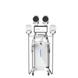 Body Sculpting - EMSCULPTING RF AND WIFI SCALE - PRO SCULPTING 2023