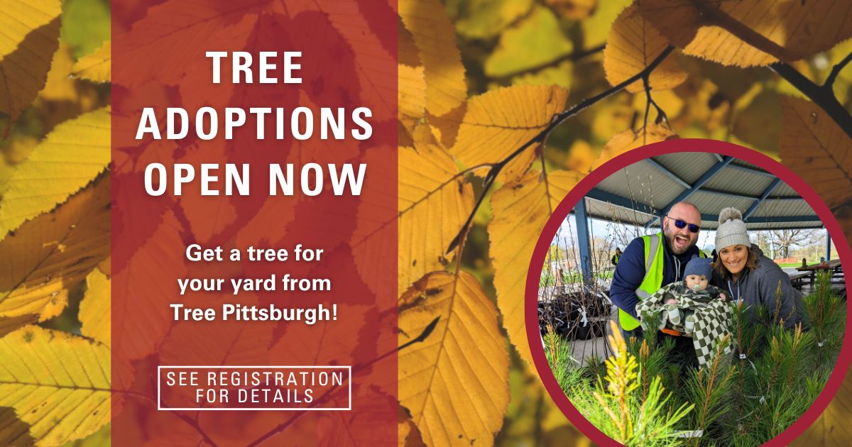 Enhance your yard with trees and shrubs from Tree Pittsburgh. Register now to pick them up on November 8, 2025 here in McKees Rocks.