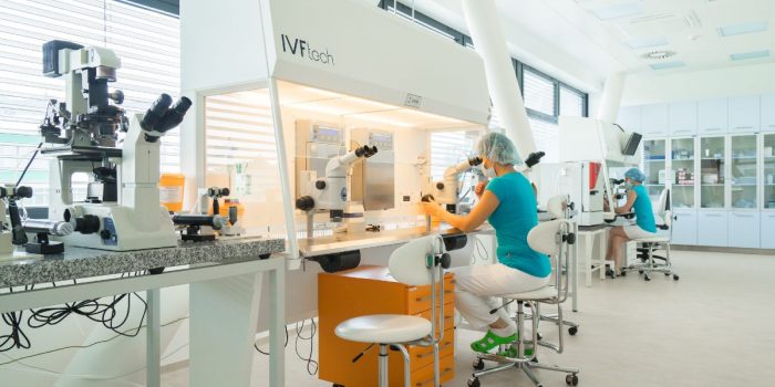 Repromeda IVF Success Rates 2020-Best ivf center in Czech Republic