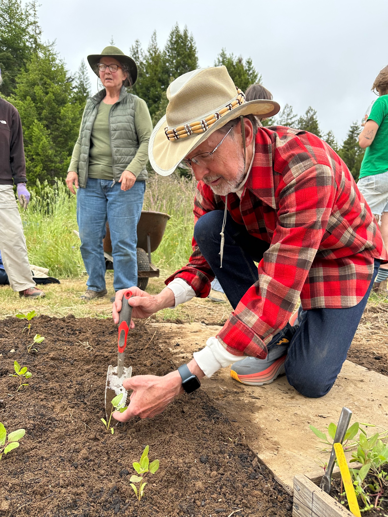 John Risk, Meadow Farm's Treasurer, plants quinoa starts.
