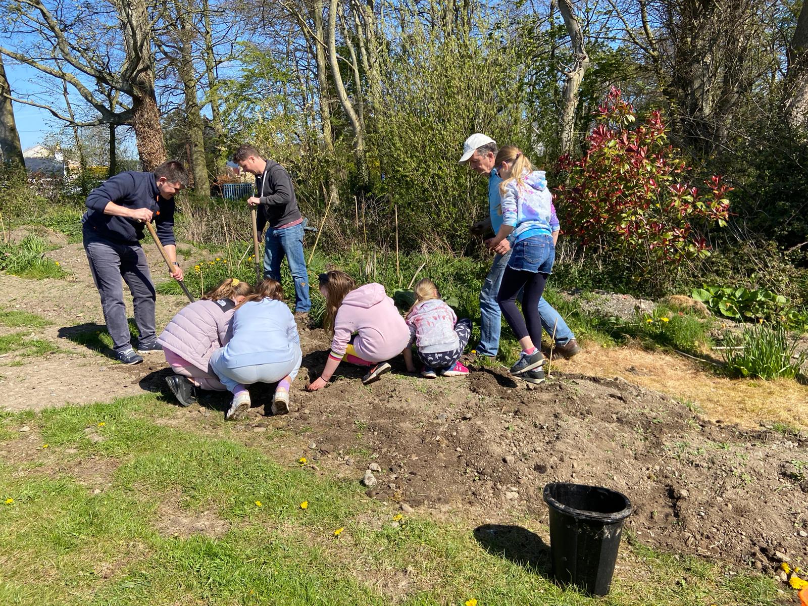 Julianstown seed planting
