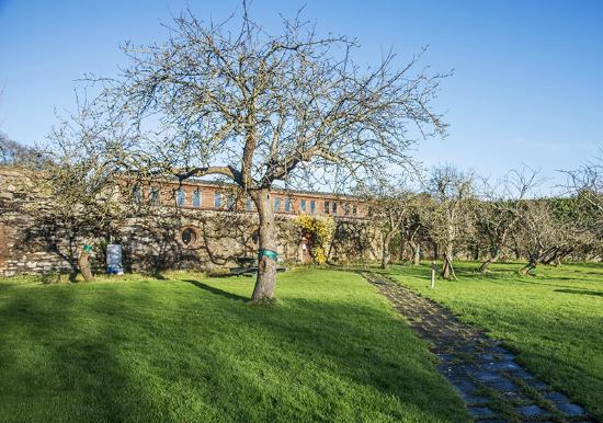 A tree in front of a building Description automatically generated with low confidence